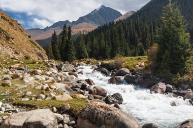 Tien Shan dağ manzarası.