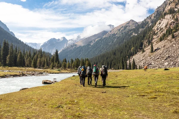 Gruppo di escursionisti in montagna. — Foto Stock