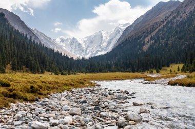 Tien Shan dağ manzarası