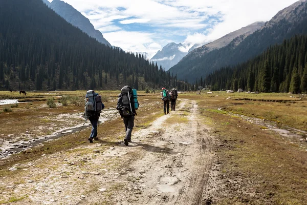 Grupo de caminhantes nas montanhas. — Fotografia de Stock