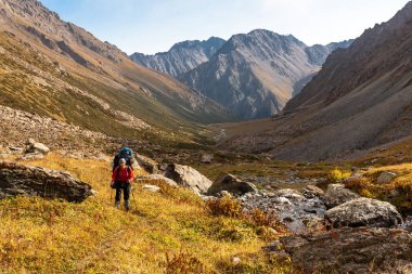 Dağlar, Tien Shan, rahatlatıcı fiyatı