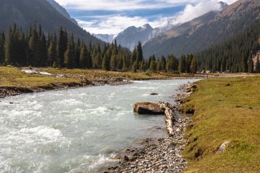Dağ doruklarına, Tien Shan görüntülemek