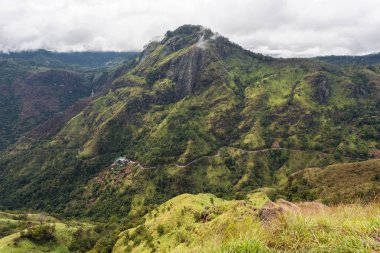 Yeşil alanları olan manzara.