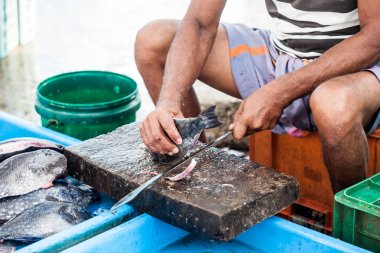 Balık pazarı Sri Lanka.