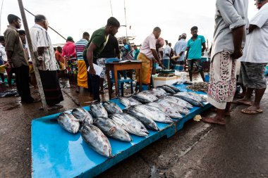 Balık pazarı Sri Lanka.