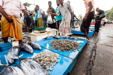 Balık pazarı Sri Lanka.