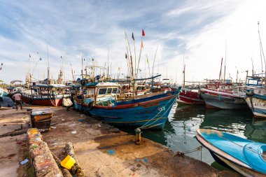 Limandaki balıkçı tekneleri.