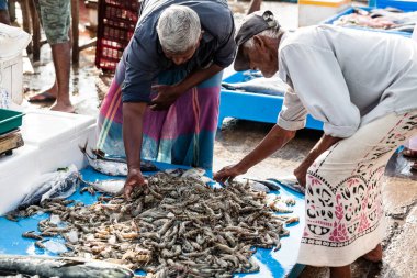 Balık pazarı Sri Lanka.