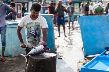 Balık pazarı Sri Lanka.