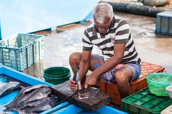 在斯里兰卡的鱼市场. — 图库照片