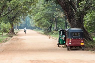 Sri Lanka yolda