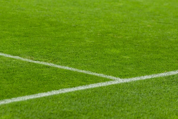 Voetbal veld witte lijn. — Stockfoto