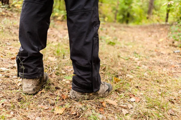 Wanderer mit Rucksack ist im Herbstwald unterwegs. — Stockfoto