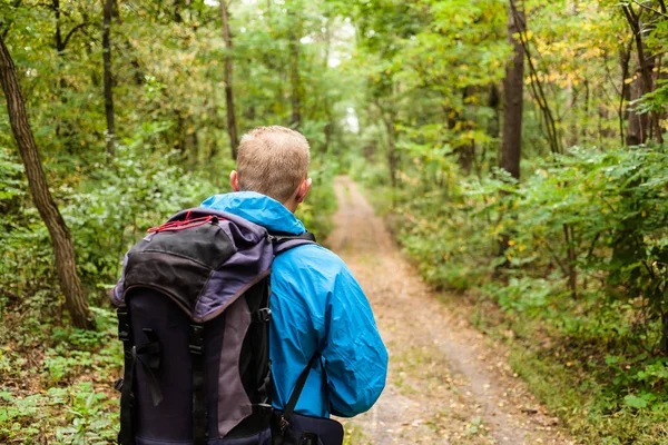 Senderista con mochila está caminando en el bosque de otoño . — Foto de Stock