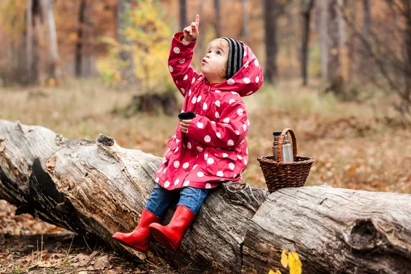 Ragazzina in giacca di pisello seduta su un albero e che beve tè . — Foto Stock