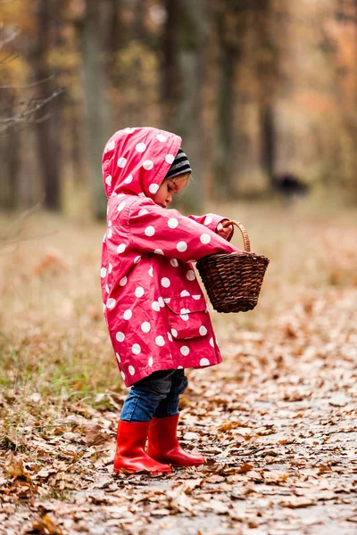 숲에서 산책 하 고 찾고 fo 완두콩 재킷에 어린 소녀 — 스톡 사진