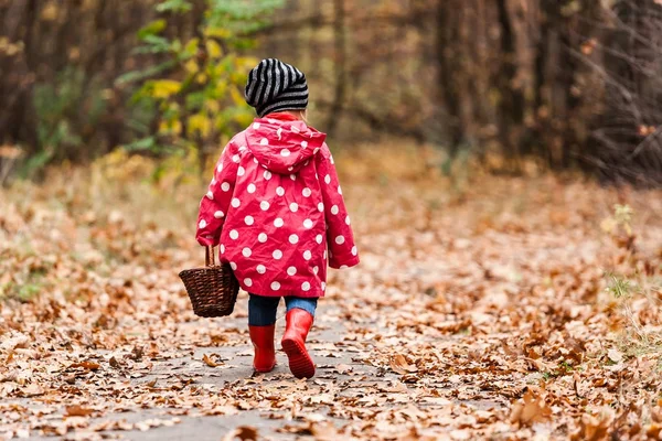 숲에서 산책 하 고 찾고 fo 완두콩 재킷에 어린 소녀 — 스톡 사진