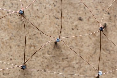 Varlıkları ağ bağlantı bağlı.