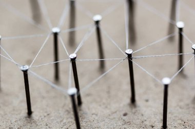 Varlıkları ağ bağlantı bağlı.