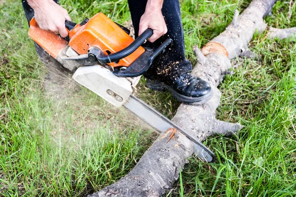 Snijden boom met een kettingzaag — Stockfoto