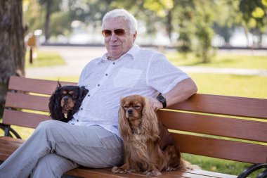 Köpekleri ile oynayan mutlu yaşlı adam.