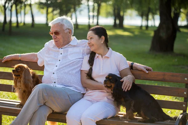 Šťastný starší pár si hraje se svými psy. — Stock fotografie