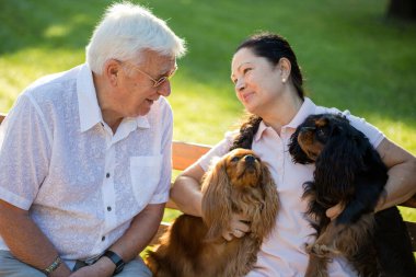 Yaşlı çift iki sevimli köpekleri ile güneşli bir günde parkta rahatlatıcı. Emekli çift dinlenme zamanı. İki şövalye kral Charles spaniel köpekler.