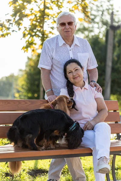 Senior Couple Relaxing Park Sunny Day Two Adorable Dogs Retired — Stock Photo, Image