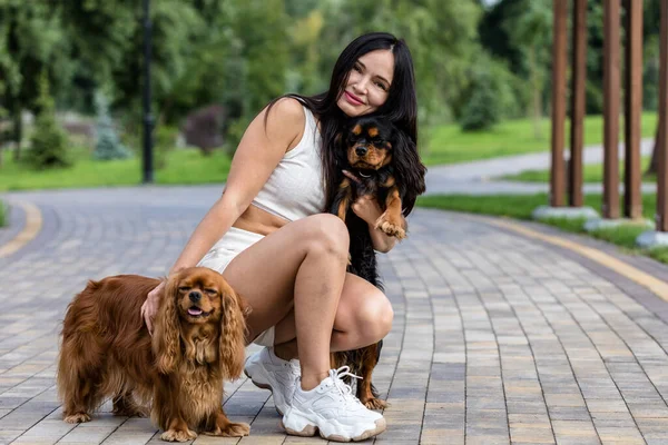 Attractive Woman Relaxing Her Two Adorable Dogs Two Cavalier King — Stock Photo, Image