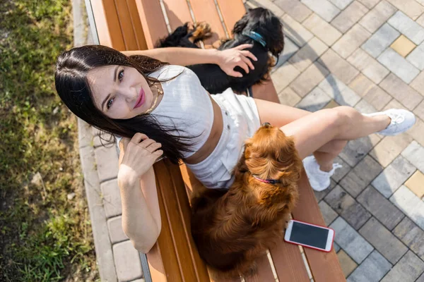 Attractive Woman Relaxing Her Two Adorable Dogs Two Cavalier King — Stock Photo, Image