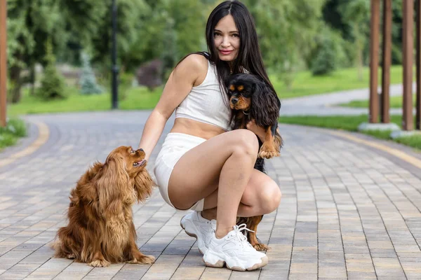 Attractive Woman Relaxing Her Two Adorable Dogs Two Cavalier King — Stock Photo, Image