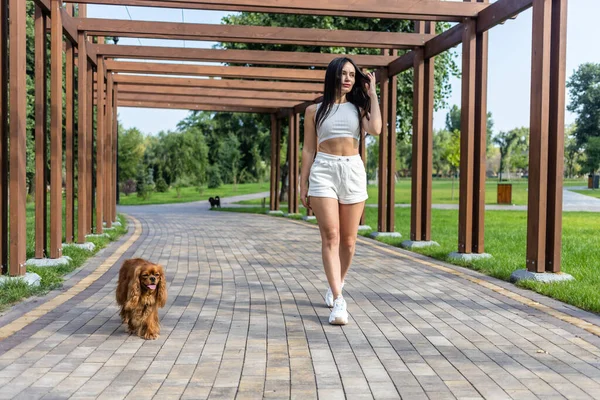 Attractive Woman Relaxing Her Two Adorable Dogs Two Cavalier King — Stock Photo, Image