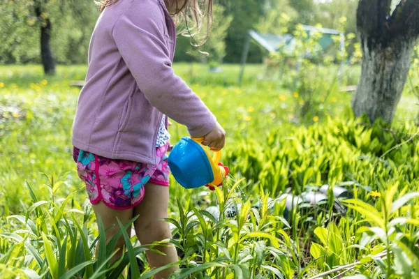 Ragazza Carina Fiori Irrigazione Sul Prato Cortile — Foto Stock