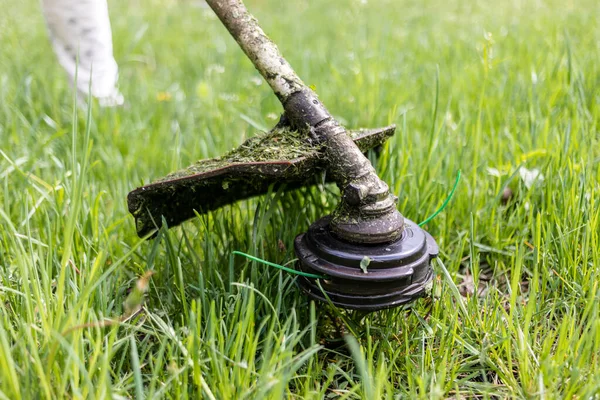Young Worker Mowing Lawn Grass Trimmer Outdoors Garden Photo Maintenance — Stock Photo, Image