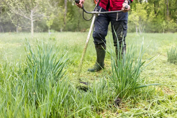 Fiatal Munkás Füvet Nyír Fűnyíróval Kertben Fénykép Karbantartó Szakember Vágás — Stock Fotó