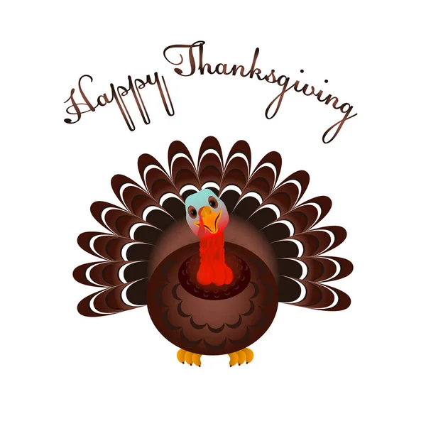 Mutlu Şükran günü kutlamaları için Türkiye'nin kuş