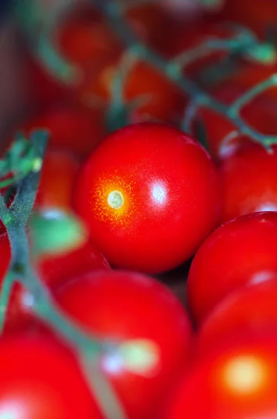 Tomatoes, macro closeup — Stock Photo, Image