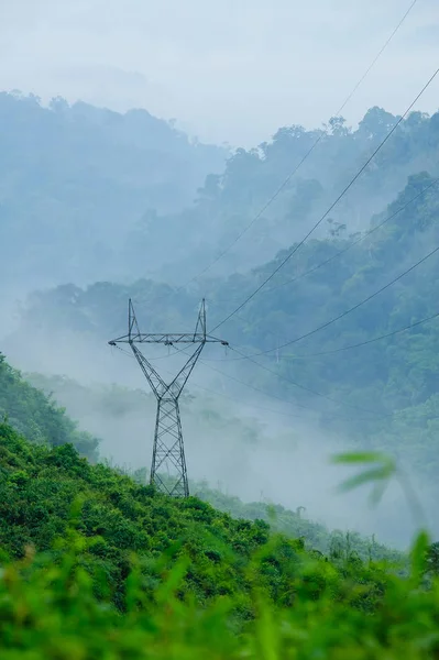 Orman yüksek gerilim sonrası