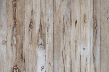 Altın kavun beyaz arkaplanda izole