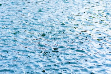 Bir su birikintisinin yüzeyine yağmur damlaları düşer. Mezuniyet gölgesi ve mavi gökyüzünün yansıması.