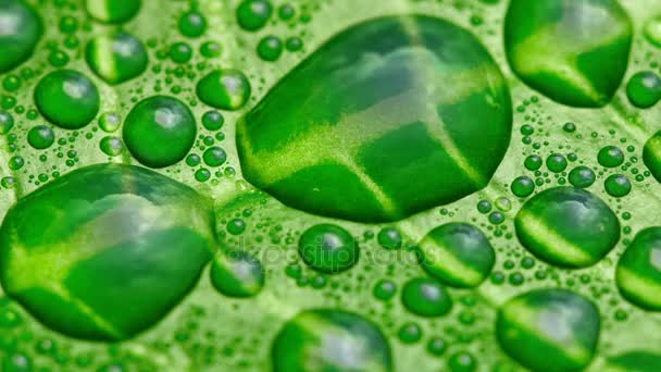 Gotas de agua en la hoja — Vídeos de Stock