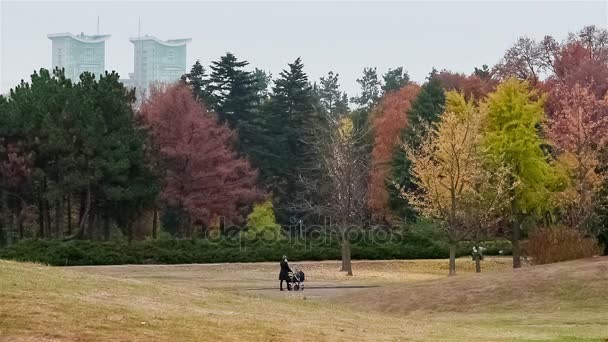 N. Grishko National Botanical Garden — Stock Video