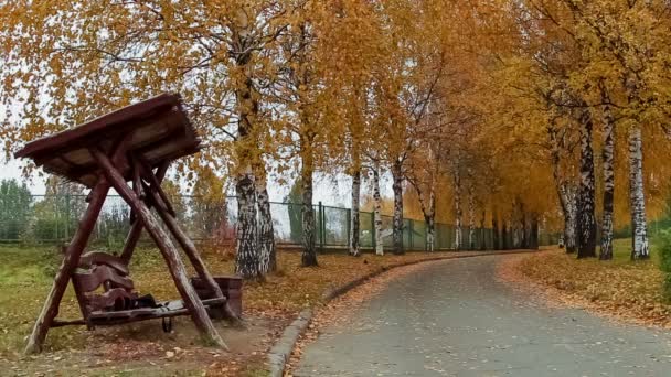 N. Grishko Jardín Botánico Nacional — Vídeos de Stock