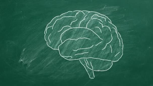 Рисунок Мозга Мелом Зеленой Доске — стоковое видео