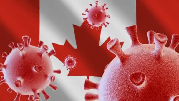 Covid Kanada Bayrağının Arka Planında Coronavirus Hücreleri — Stok video