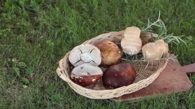 Peynir ve Porcini mantar