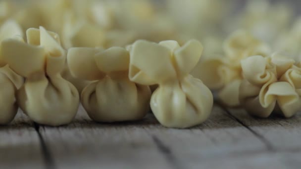 Saccottini Pasta Selective Focus — Stock Video