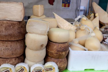 Çeşitli tür peynir