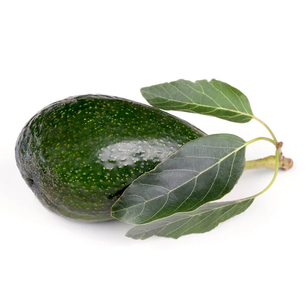 Avocadofrucht isoliert — Stockfoto