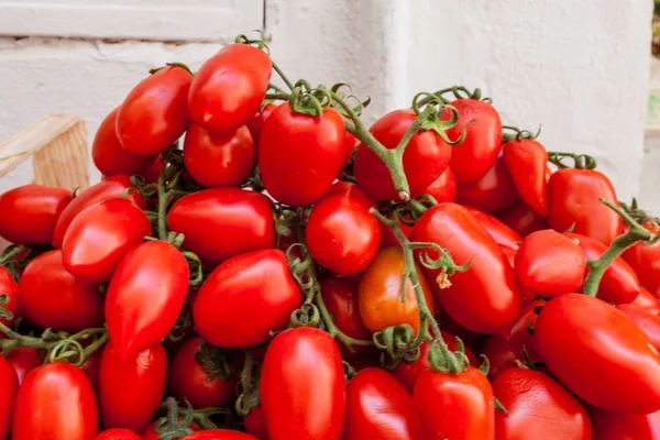 San Marzano Tomatoes — Zdjęcie stockowe